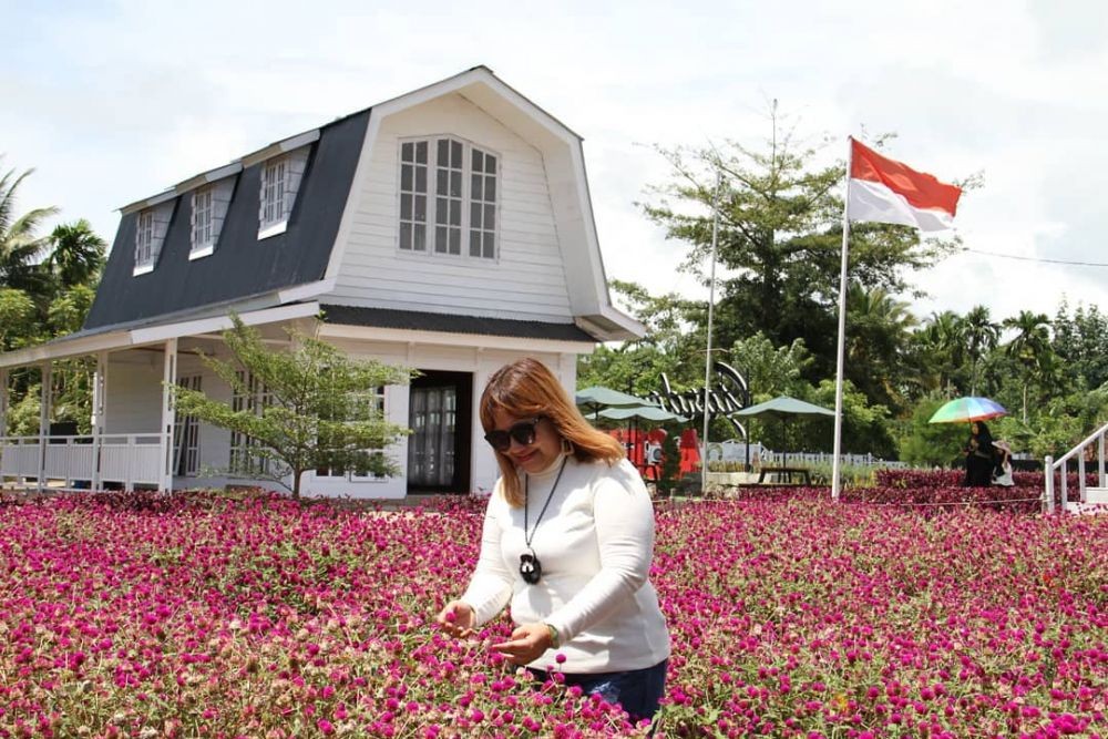 10 Potret Taman Bunga Celosia Instagramable di Aceh