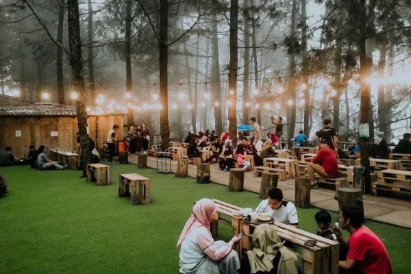 10 Kafe Hits Indonesia di Tengah Hutan